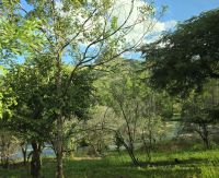 Mantenga Cultural Village (5)