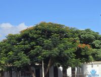 Streckenbegleitung (4)