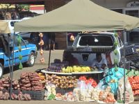 Streckenbegleitung (5)