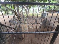 Streckenbegleitung (10)