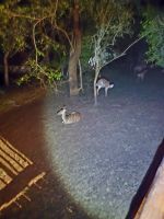 Hluhluwe River Lodge (8)