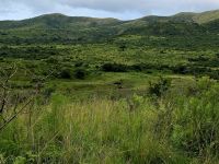 Wunderbare Tierbegegnungen Hluhluwe NP (25)