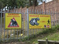 Hippo Warnungen St. Lucia (4)