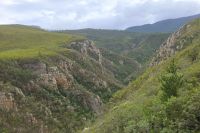 Land und Tierbegegnungen (3)