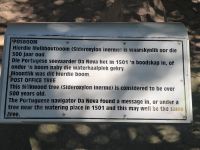 Diaz Museum im schönen Mossel Bay (8)