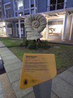 Capetown Waterfront (2)