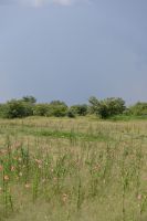 4. Tag - Etosha Nationalpark (28)