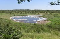 5. Tag - Etosha Nationalpark (9)