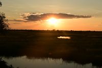 8. Tag - Bootsfahrt auf dem Kwando - Sonnenuntergang