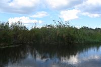 8. Tag - Bootsfahrt auf dem Kwando (3)