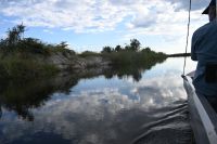 8. Tag - Bootsfahrt auf dem Kwando (4)