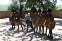 8. Tag - Kongola - Lebendiges Museum (1)