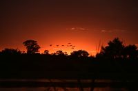 8. Tag - Sonnenaufgang am Okavango (2)