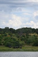 10. Tag - Chobe Nationalpark (29)