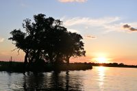 10. Tag - Chobe Nationalpark (54)