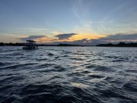 13. Tag - Simbabwe - Bootsfahrt auf dem Sambesi (2)