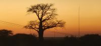 235 Gute Nacht Botswana