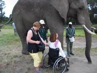 Knysna Elephant Park