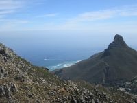 Löwenkopf und Atlantik