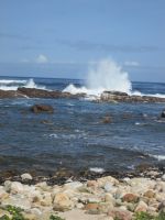 Kap der Guten Hoffnung