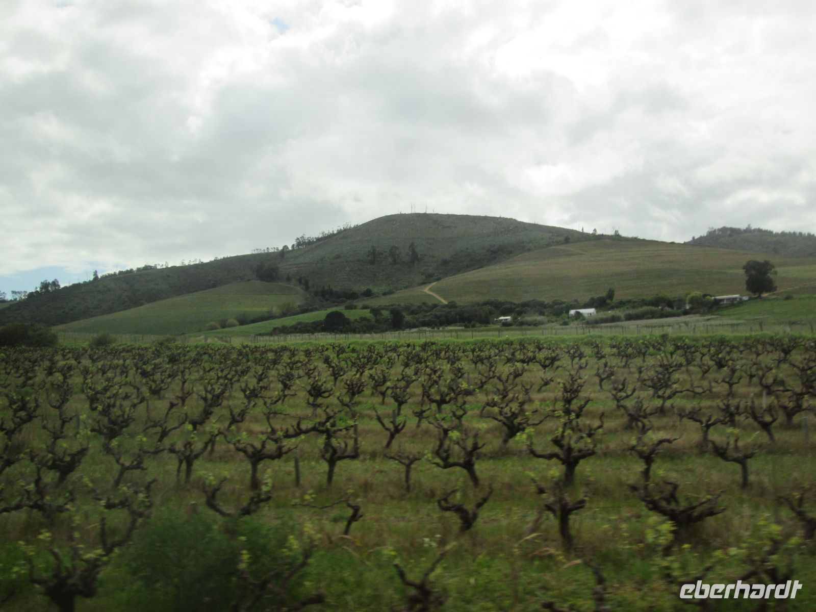 Weinland um Stellenbosch