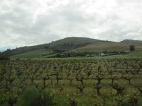 Weinland um Stellenbosch