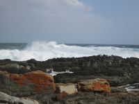 im Tsitsikamma Nationalpark