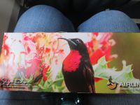 kleiner Imbiss im Flieger