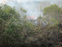 es brennt fast überall im Nationalpark