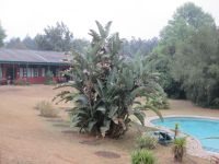 Foresters Arms Lodge Eswatini