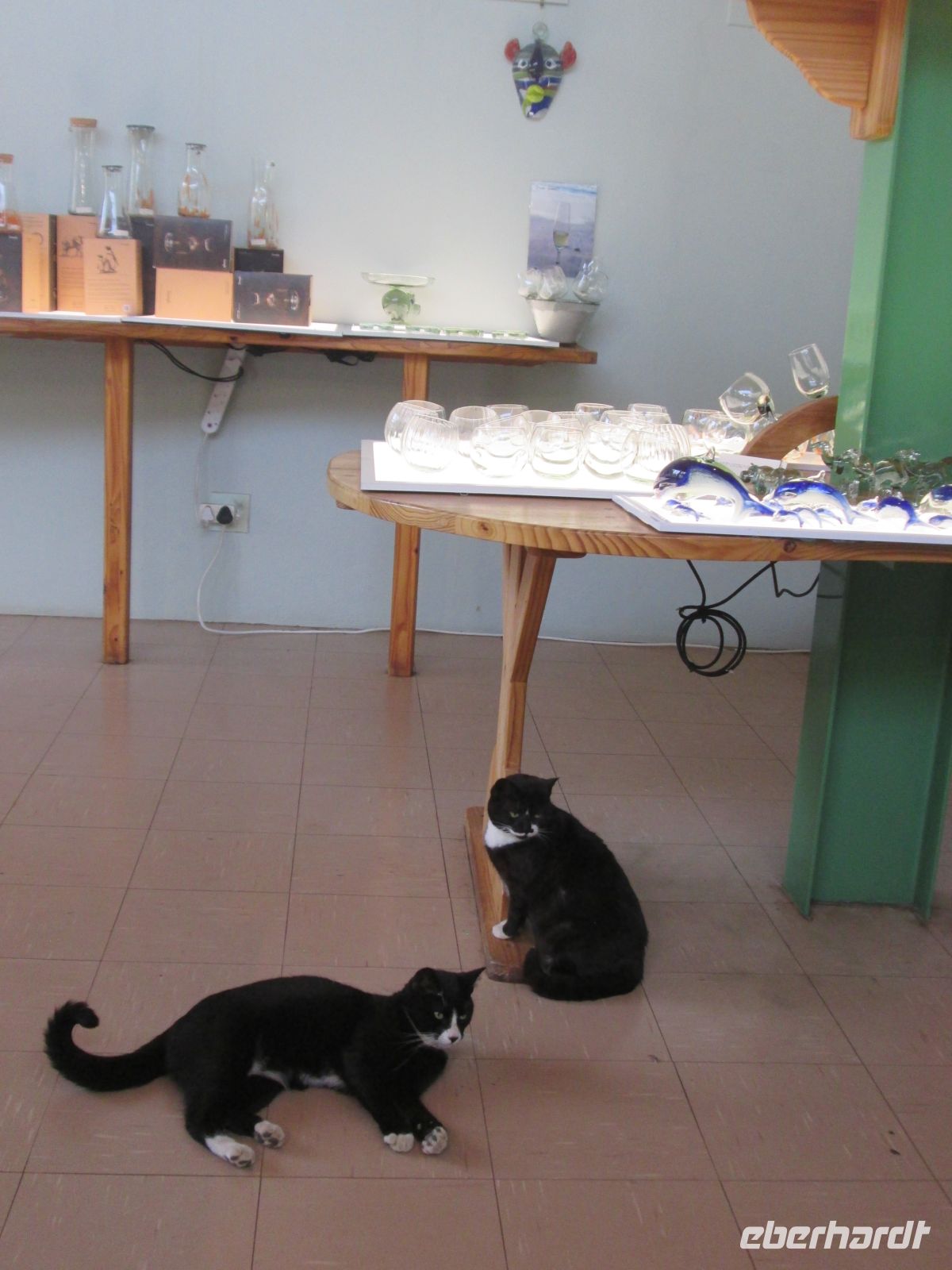 Glaskunst in Eswatini und 4beinige Freunde