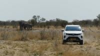Etosha NP - Pirschfahrt - dumme Touristen auf unerlaubten Wegen