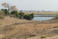Pirschfahrt im Chobe NP 