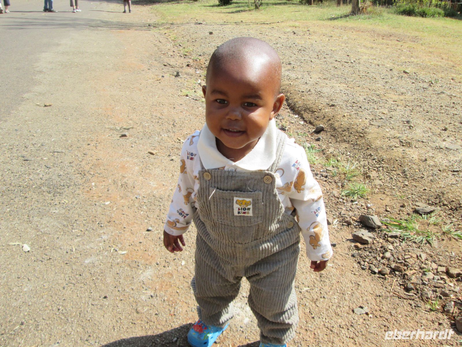 der kleine Nashville freut sich uns zu sehen