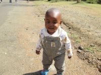 der kleine Nashville freut sich uns zu sehen