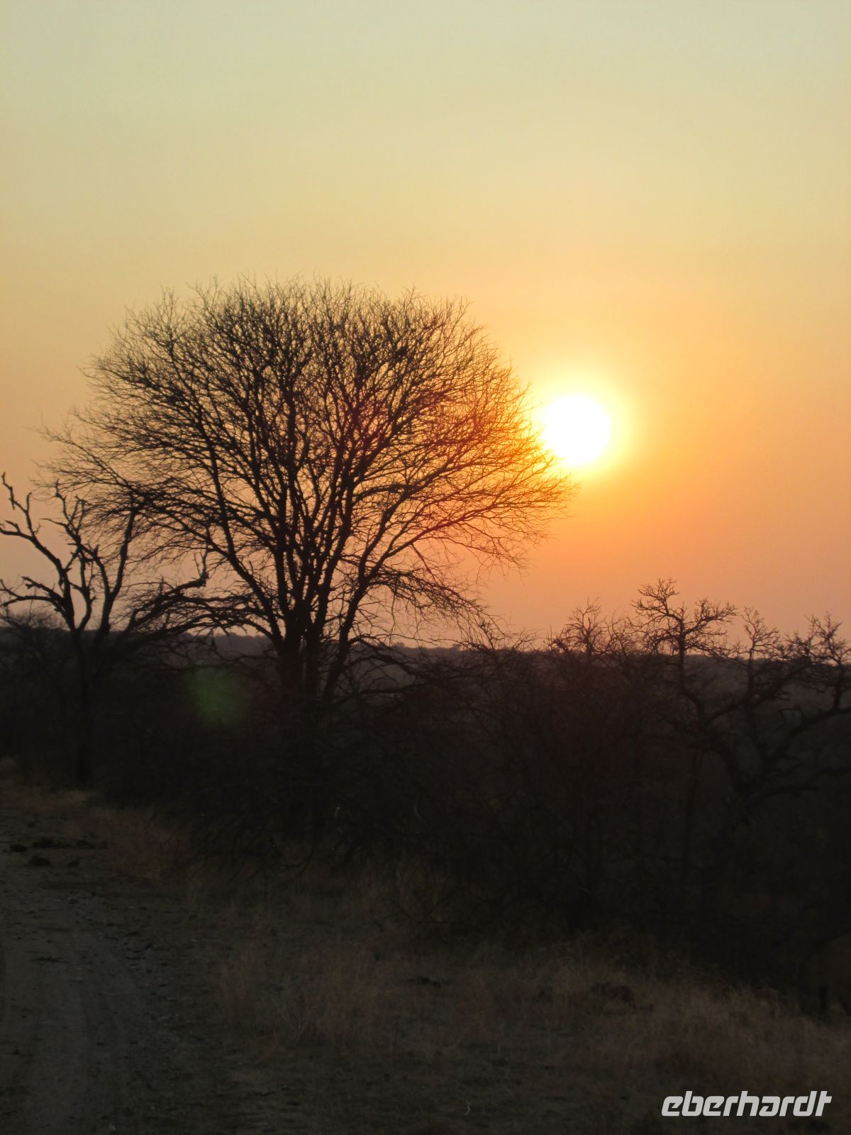 Sonnenuntergang im Prideland Game Resort