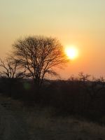 Sonnenuntergang im Prideland Game Resort