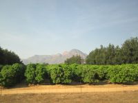 Mangoplantagen und Kleine Drakensbergerg