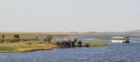 Bootsfahrt auf dem Chobe