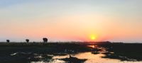 Bootsfahrt auf dem Chobe - Sonnenuntergang mit Elefanten