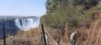 Simbabwe - Victoria Wasserfälle 