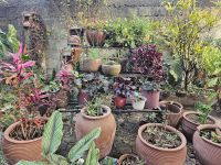 Besuch der Töpferei - Tongefäße