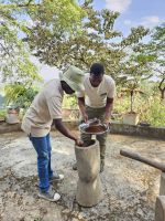 Kaffeeplantage - Sieben von Kaffee