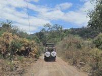 Safari im Lake Manyara