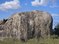 Serengeti, Löwen auf Felsen