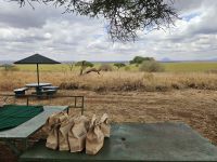 Tarangire-Nationalpark, Mittagspause mit Lunchpake