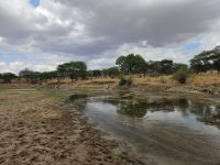 Tarangire-Nationalpark, Tarangire-Fluss