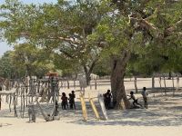 Holzmarkt entlang der B1