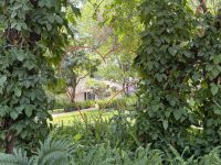 Lodgegarten Namushasha