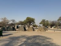 Etosha NP